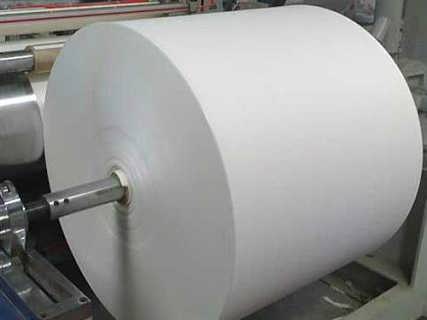 衛(wèi)生紙原紙 東恒機(jī)械 燒紙衛(wèi)生紙原紙