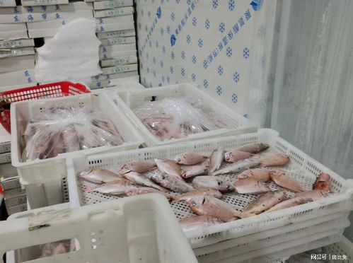 捕撈養(yǎng)殖輸送原料資源,電商批發(fā)打通銷(xiāo)售脈絡(luò)